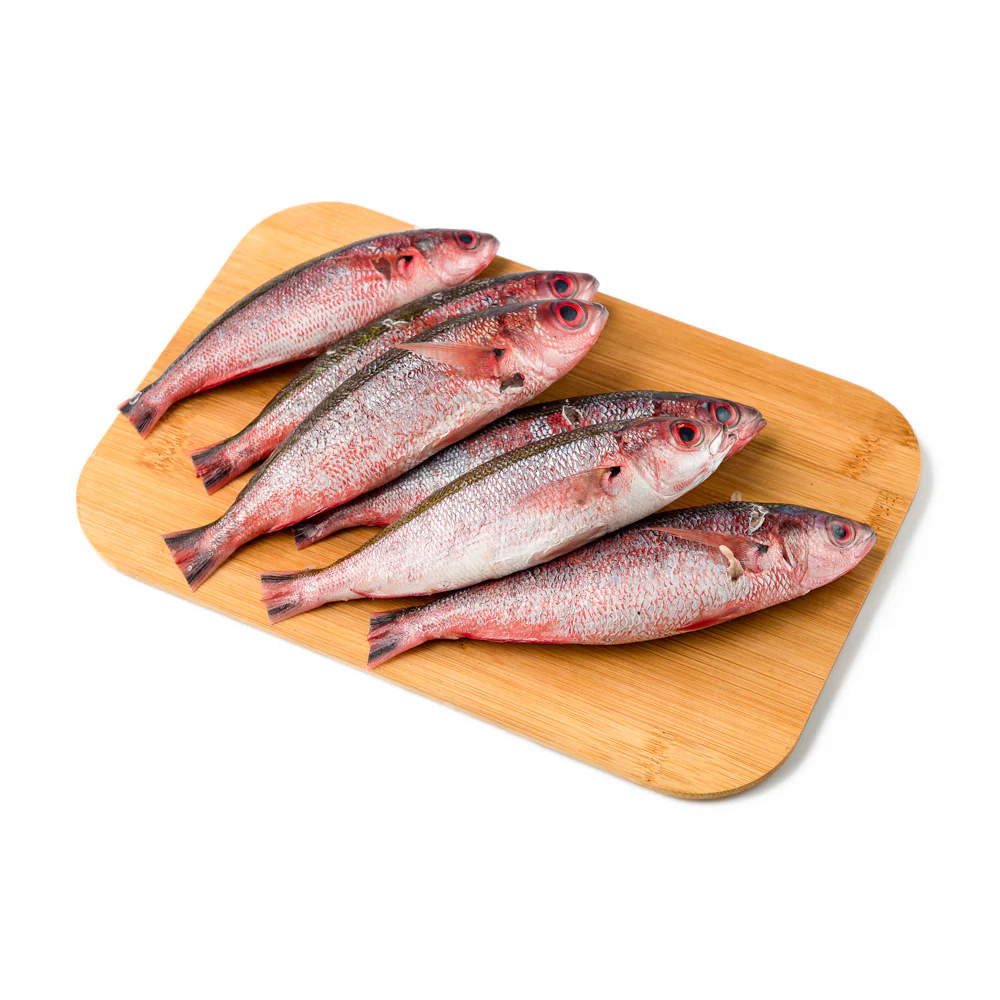 Solid Fish (Bilason) - Image 8