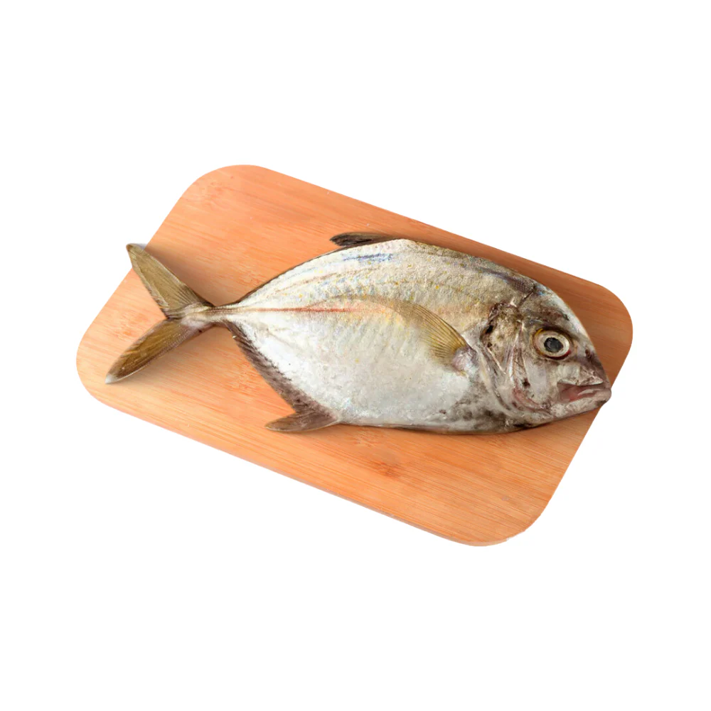 Talakitok (Maliputo) - Image 2