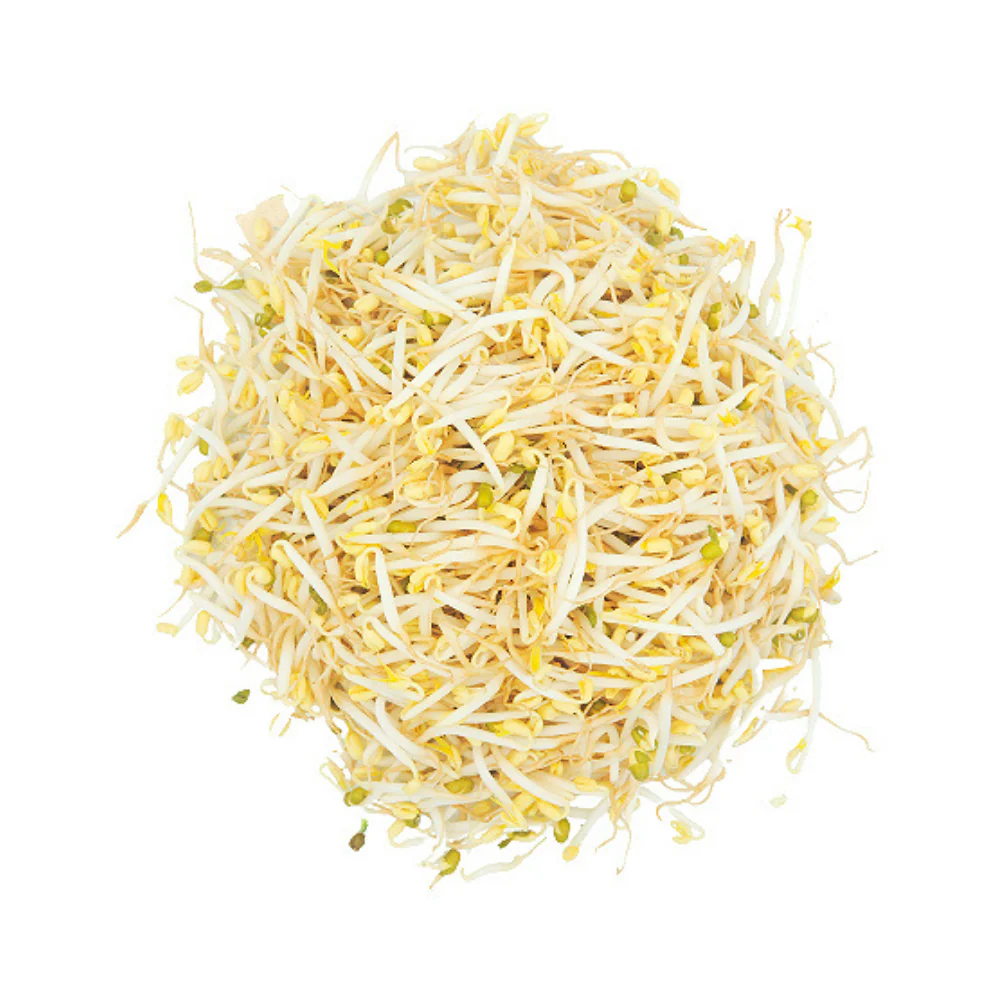 Tauge Long - Image 4