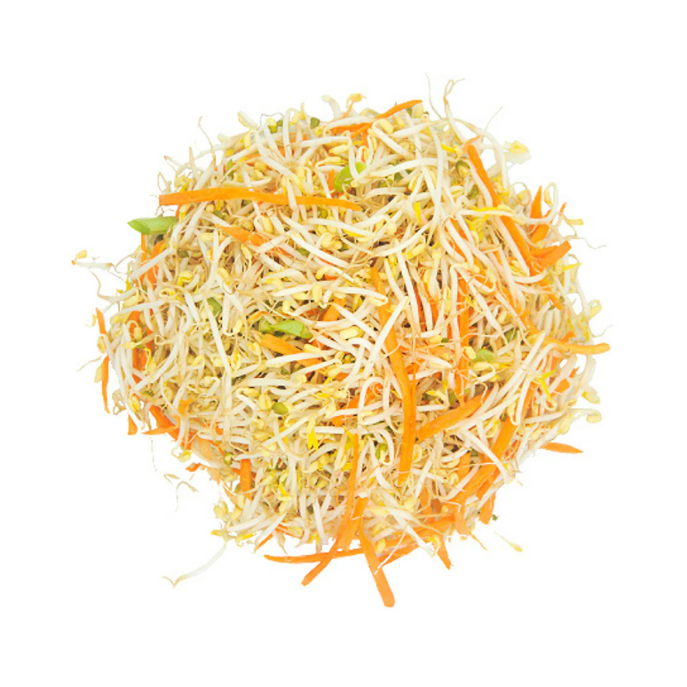 Tauge With Carrots - Image 2