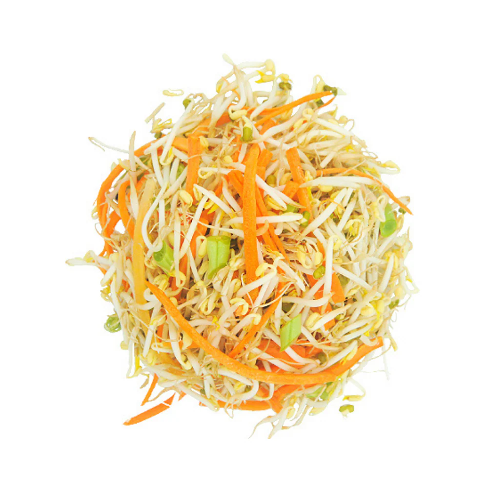 Tauge With Carrots - Image 4