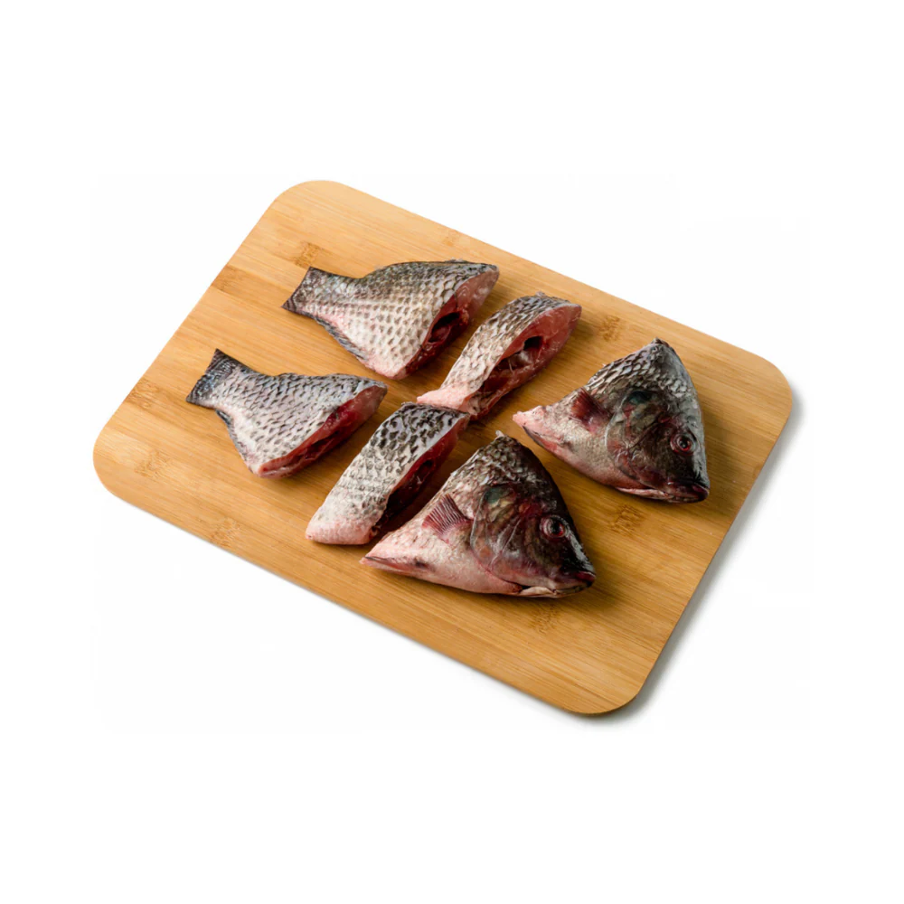 Tilapia Saci Big - Image 10