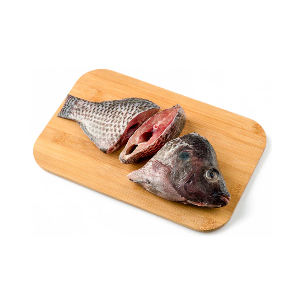 Tilapia Saci Big - Image 5
