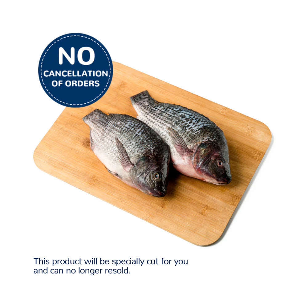 Tilapia Saci Big - Image 8
